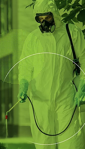 DDMAIS Dedetizadora Sorocaba